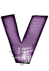 chauve-6565565665-22.png