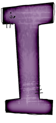 chauve-6565565665-9.png