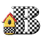 checkerboardhse-B.gif