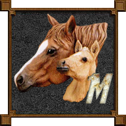 cheval-009333-13.png