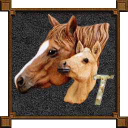 cheval-009333-20.png