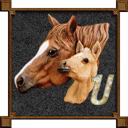 cheval-009333-21.png