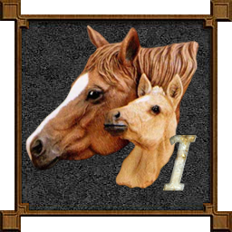 cheval-009333-9.png