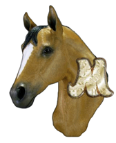 cheval-3232332-13.png