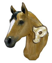 cheval-3232332-16.png