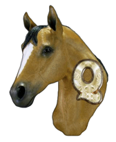 cheval-3232332-17.png