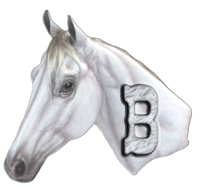 cheval-44566-2.png