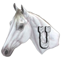 cheval-44566-21.png