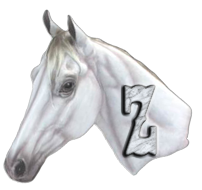 cheval-44566-26.png