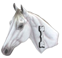 cheval-44566-9.png