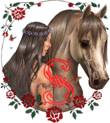 cheval-878877878-19.gif