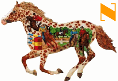 cheval-88457567655656-14.gif