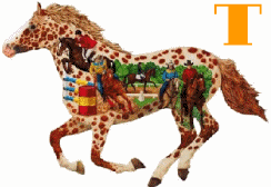 cheval-88457567655656-20.gif