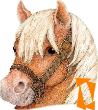chevva-65656565-15.gif