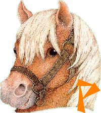 chevva-65656565-16.gif