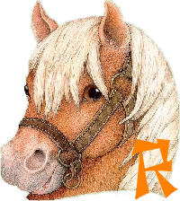 chevva-65656565-18.gif