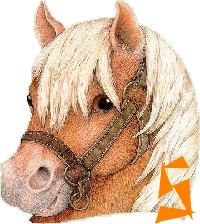 chevva-65656565-19.gif
