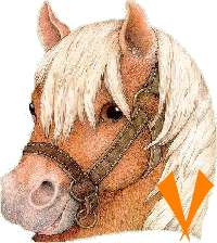 chevva-65656565-22.gif