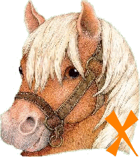 chevva-65656565-24.gif