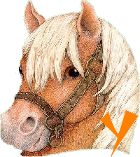 chevva-65656565-25.gif