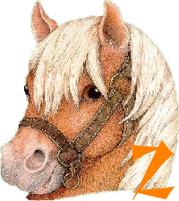 chevva-65656565-26.gif