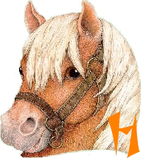 chevva-65656565-8.gif