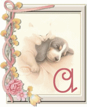 chien-55444-1.gif