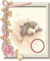 chien-55444-15.gif