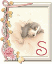 chien-55444-19.gif