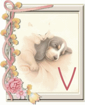 chien-55444-22.gif