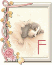 chien-55444-6.gif