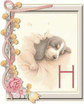 chien-55444-8.gif