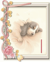 chien-55444-9.gif