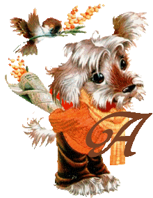 chien-5555-1.gif