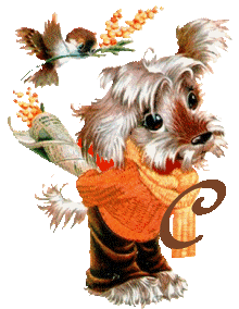 chien-5555-3.gif