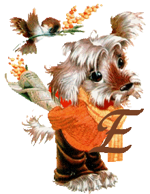 chien-5555-5.gif