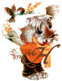 chien-5555-8.gif
