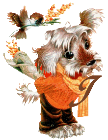 chien-5555-9.gif