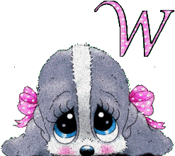 chien-566565-23.gif