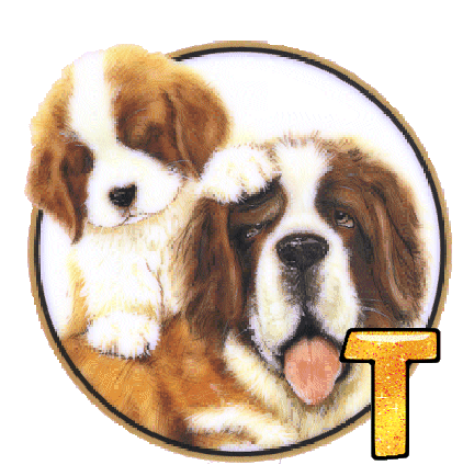 chien-88865-20.gif