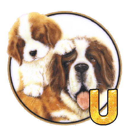 chien-88865-21.gif