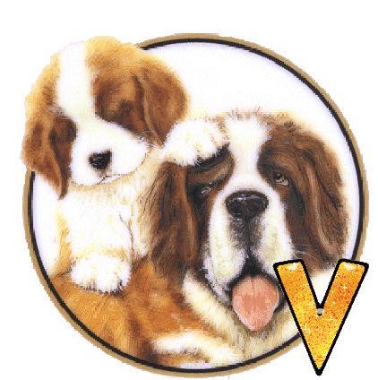 chien-88865-22.gif