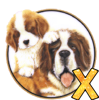 chien-88865-24.gif
