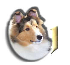 chien-998765-10.png