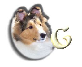 chien-998765-7.png