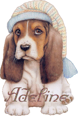 chien_bonnetdenuit_adeline.gif