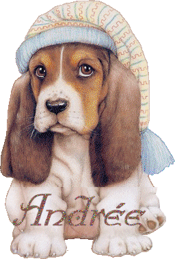 chien_bonnetdenuit_andree.gif