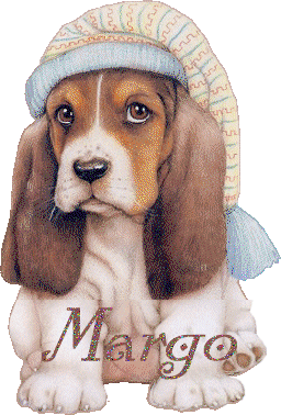 chien_bonnetdenuit_margo.gif