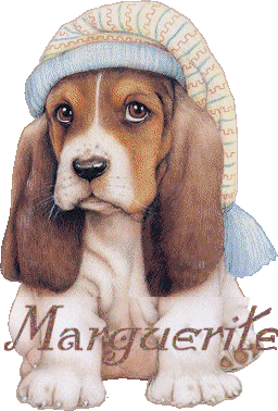 chien_bonnetdenuit_marguerite.gif