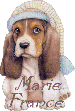 chien_bonnetdenuit_marie_france.gif